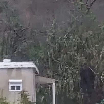Fóssil de Arriba em São João da Caparica instável devido ao mau tempo