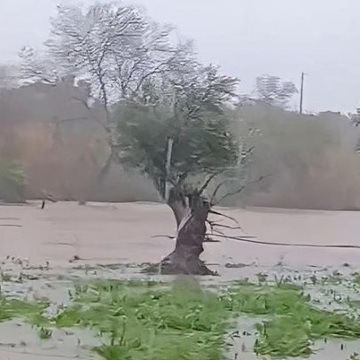 Mau tempo em Grândola: casas evacuadas e estradas cortadas sem ativar plano