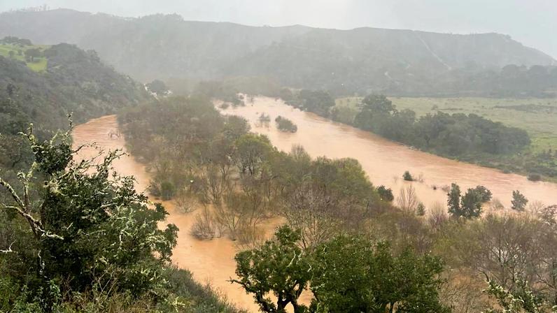 Mau tempo: Associação estima 20M€ de prejuízos em estufas e explorações agrícolas de Odemira