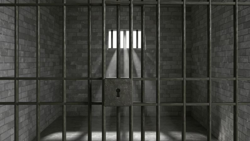 Homem detido em Montemor-o-Novo por reincidência em violência doméstica