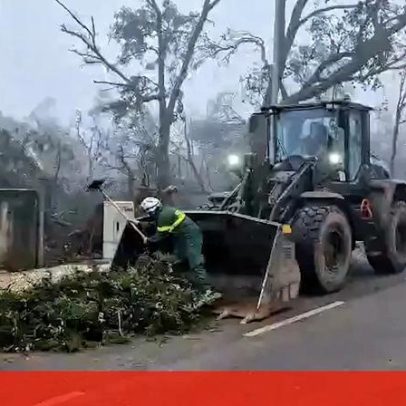 Militares limpam ruas em Alvaiázere após mau tempo fechar várias estradas
