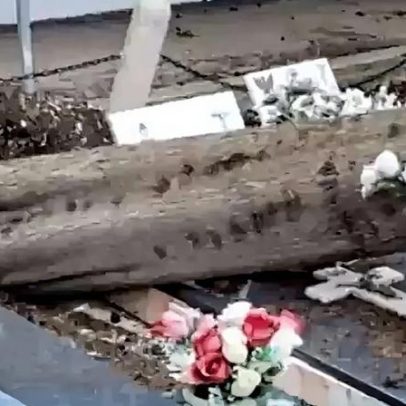 Queda de árvores destrói cemitério em Alverca do Ribatejo, causando preocupação
