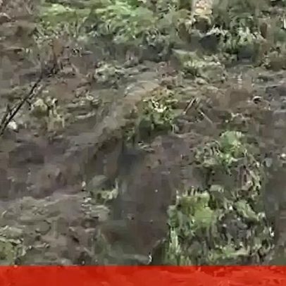 Falésia desabou parcialmente na Costa da Caparica