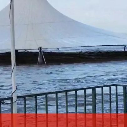 Cheias históricas em Portugal: 427 mortos em 1967