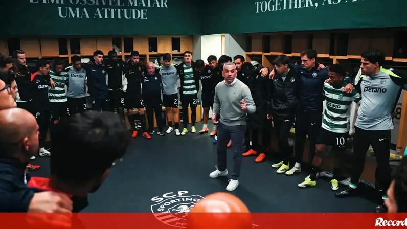 Leões mostram imagens