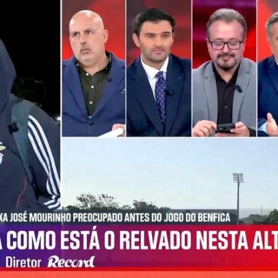 Bernardo Ribeiro: Benfica terá relvado muito superior ao de Sporting e FC Porto