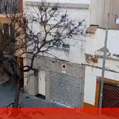 Tempestade causa caos em Barcelona e sofá fica preso numa árvore