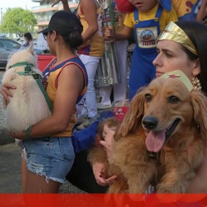 Cães mascarados desfilam no Carnaval do Rio em protesto contra maus-tratos