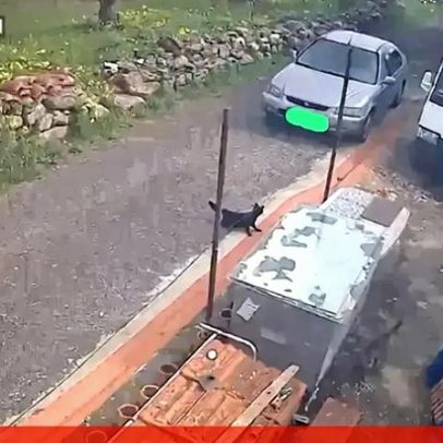 Imagens de videovigilância mostram dois sismos sentidos em Alenquer