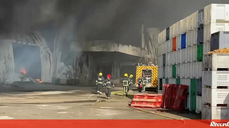 Incêndio está controlado mas ainda não foi dado como extinto. Chamas deflagraram ao início da tarde deste domingo.
