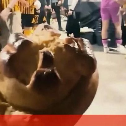 Lourosa responde a Feirense após triunfo no dérbi