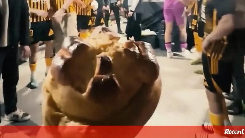 Fogaças no balneário: Lourosa responde a Feirense após triunfo no dérbi