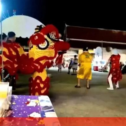 Polícia tailandesa disfarça-se de leão para deter suspeito de furtos