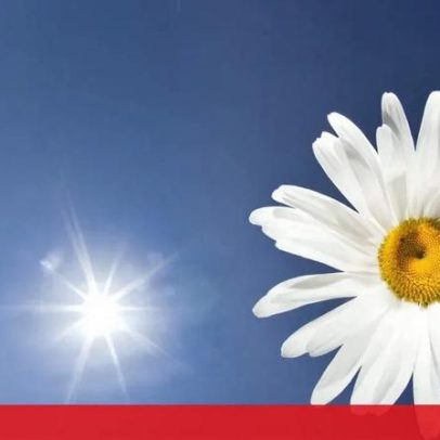 Fim de semana de primavera com 24 graus e tempo estável