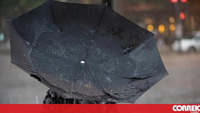 vento, chuva, guarda chuva, xxx