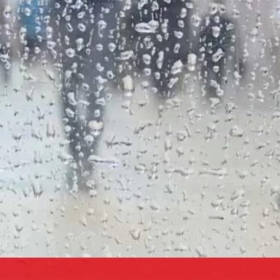 Mau tempo em Portugal: Proteção Civil regista 119 ocorrências na madrugada