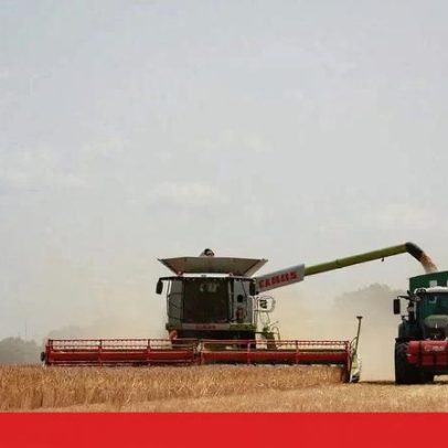 Presidente da gestão do PEPAC assume cargo em exclusividade