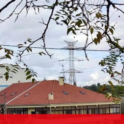 REN já removeu 80% dos cabos e 20% das infraestruturas danificadas