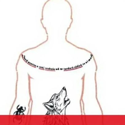 PJ da Madeira identifica cadáver de romeno desaparecido