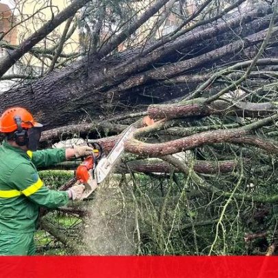 Exército mobiliza comandos e paraquedistas para apoiar populações na calamidade