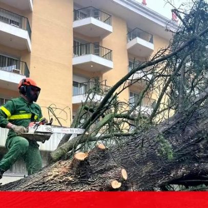 Tempestade Kristin causa 723 ocorrências em Tomar e exige meses de trabalho