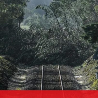 Ferreira do Zêzere tem 99% das casas com luz 27 dias após tempestade