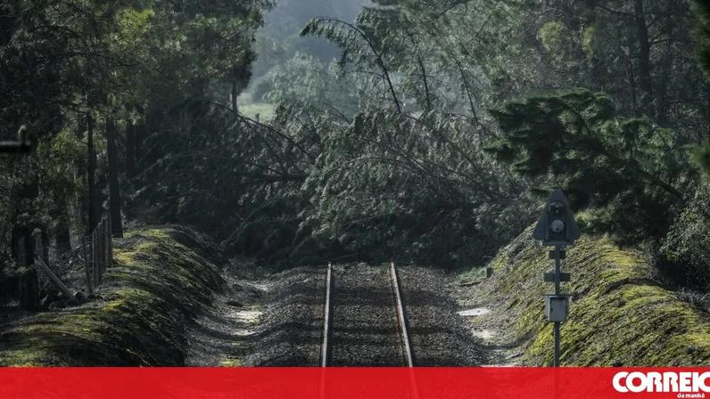 Tempestade Kristin causa estragos em Ferreira do Zêzere, afeta terreno de Leonardo Francisco