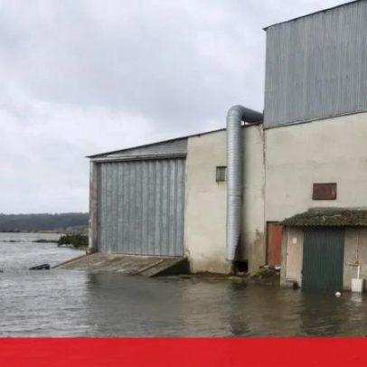 Proteção Civil regista 121 ocorrências entre a meia-noite e as 07h00