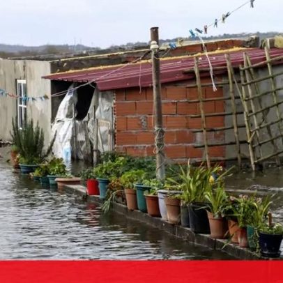 Ilha do Baixo Mondego, em Ereira, faz figas para evitar cheias