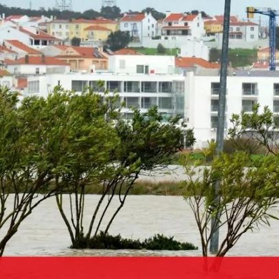 Agricultores do Oeste dizem que apoios são insuficientes para prejuízos