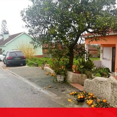 Bombeira de Leiria atropelada é a 5.ª baixa desde o arrasamento do quartel