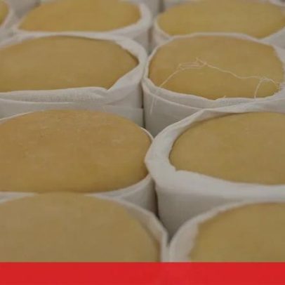 Serra da Estrela: Seia é o maior produtor de queijo de ovelha