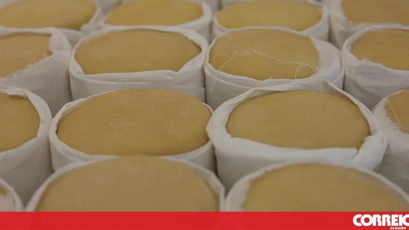 Seia promove queijo de ovelha na Feira Serra da Estrela, evento crucial para economia local