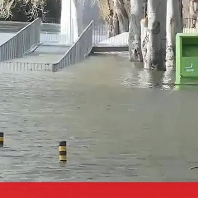 Proteção Civil aconselha ribeirinhos do Tejo a abandonar casas