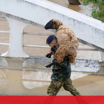 Forças Armadas mantêm apoio às populações com 2.500 militares no terreno
