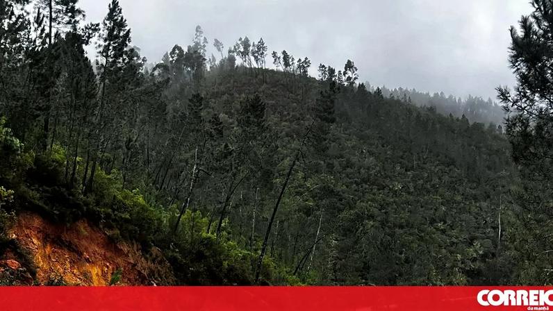 Derrocada em Oleiros condiciona circulação entre Cambas e Alto da Pisoria