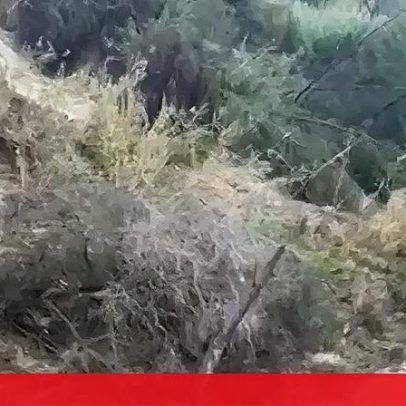 Autarca de Almada alerta que terras continuam em movimento e perigo persiste