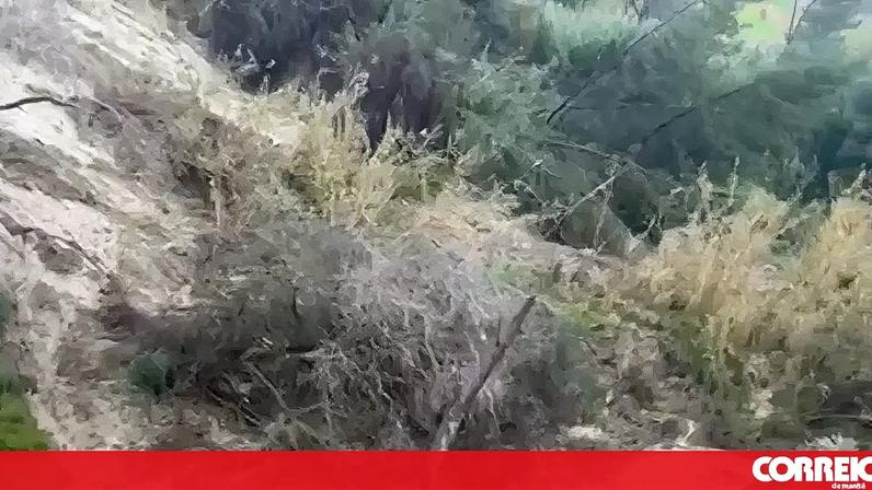 Derrocada na Costa da Caparica