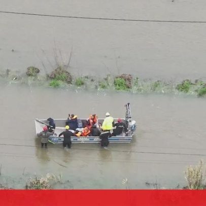 Bombeiros resgatam proprietários de viveiro em São João do Campo, Coimbra