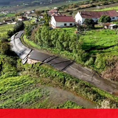 Mau tempo afeta 400 hectares de vinhas em Alenquer