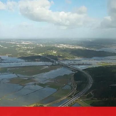 Força Aérea acompanha comitiva para avaliar estragos nas florestas