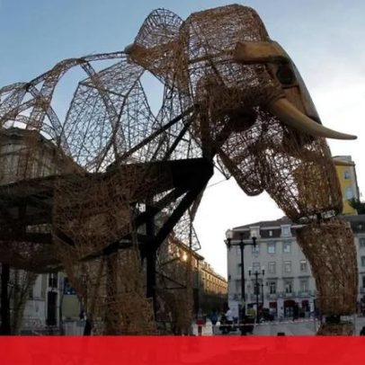 Meio século a encantar o público com teatro que apaixona