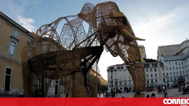 'A Viagem do Elefante' é um dos espetáculos mais emblemáticos do Trigo Limpo Teatro Acert