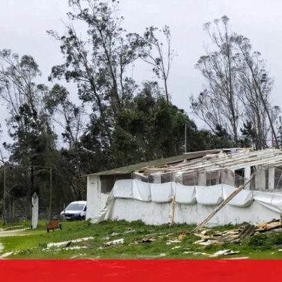 Empresas de Leiria retomam produção com lonas e geradores após mau tempo