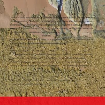 Fósseis encontrados a norte da Praia da Galé, Grândola