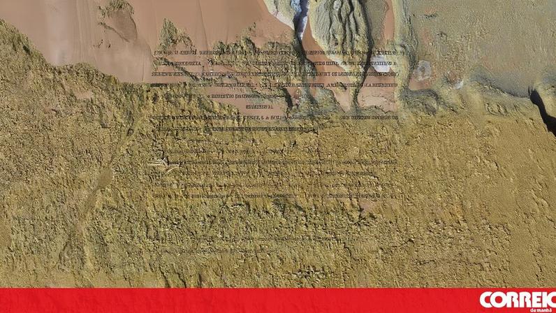 Descobertos fósseis a norte da praia da Galé em Grândola