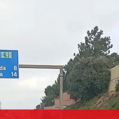 Mulher percorre 6 km a pé para passear cães na A2