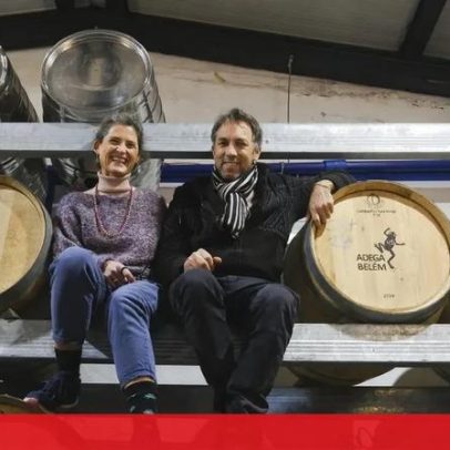 Adega urbana: vinho produzido no coração da cidade