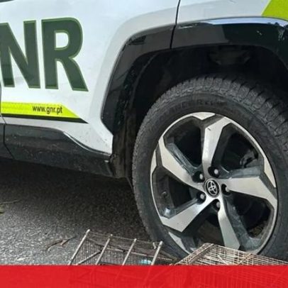 GNR do Porto detém 10 homens e apreende 4.450 doses de droga