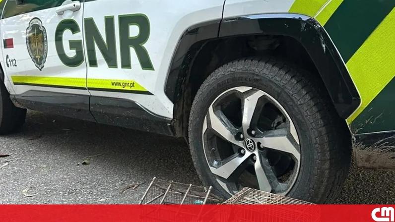 Guarda efetuou buscas nos concelhos de Santo Tirso, Guimarães e Vila Nova de Famalicão.